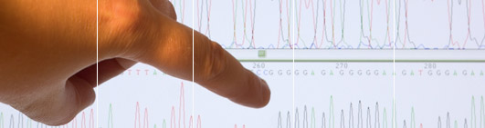 Unique DNA Profile.