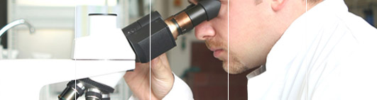 FAQ on DNA testing and paternity testing.