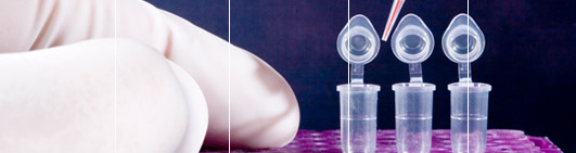 Experienced DNA Forensic Testing Service